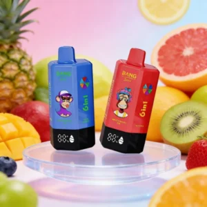 Bang Leader  300,000-puff disposable vape