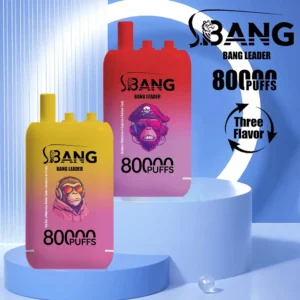 Bang Leader 80,000 puffs -