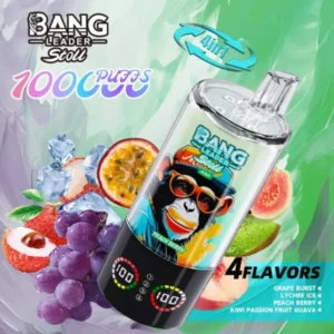 Bang Leader Stoll 100K Puffs Vape