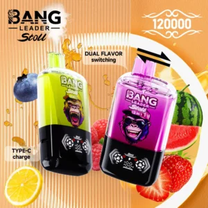 Bang Leader Stoll 120K  puff  vape